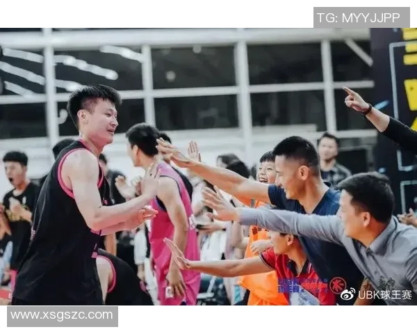 深入分析北京街舞队的区域防守战术及其在比赛中的应用策略