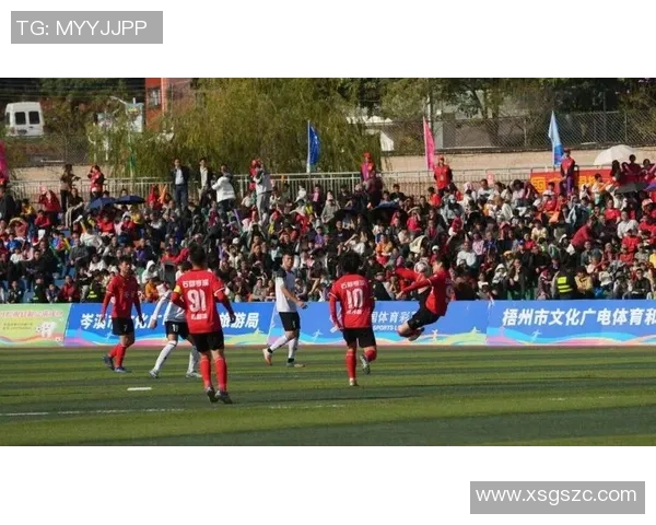 足球乐子带你领略赛场激情与球迷文化的完美融合与欢笑瞬间