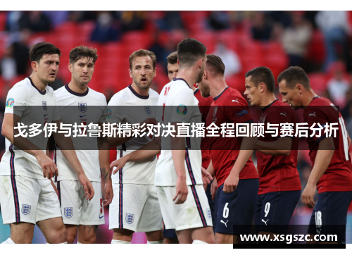 戈多伊与拉鲁斯精彩对决直播全程回顾与赛后分析