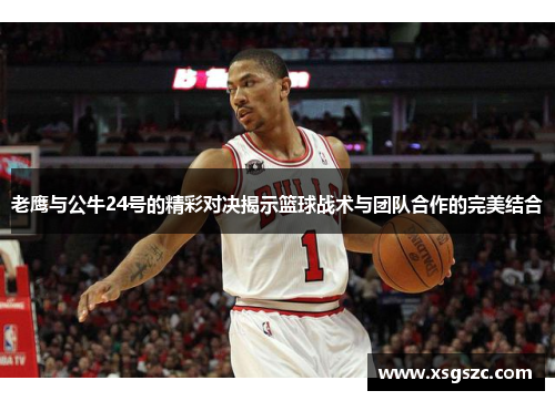 老鹰与公牛24号的精彩对决揭示篮球战术与团队合作的完美结合